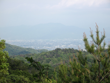 20140426hike (247)